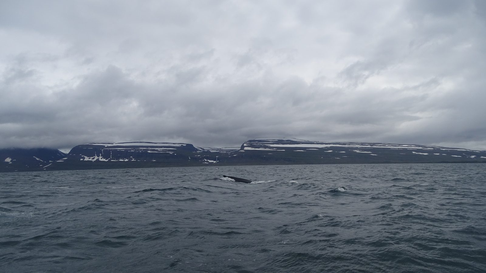 DSC02116.JPG